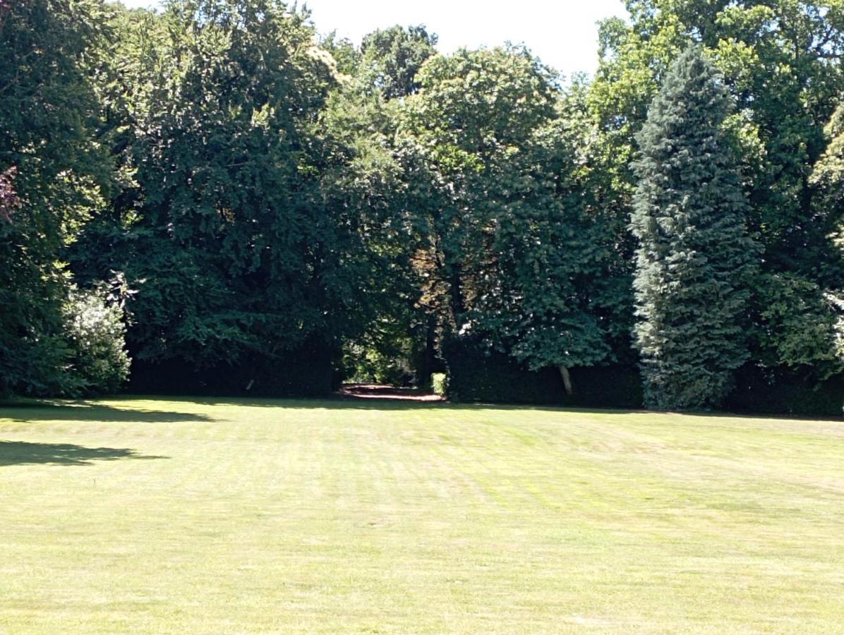 Chateau Du Bois-Riou Quévert エクステリア 写真